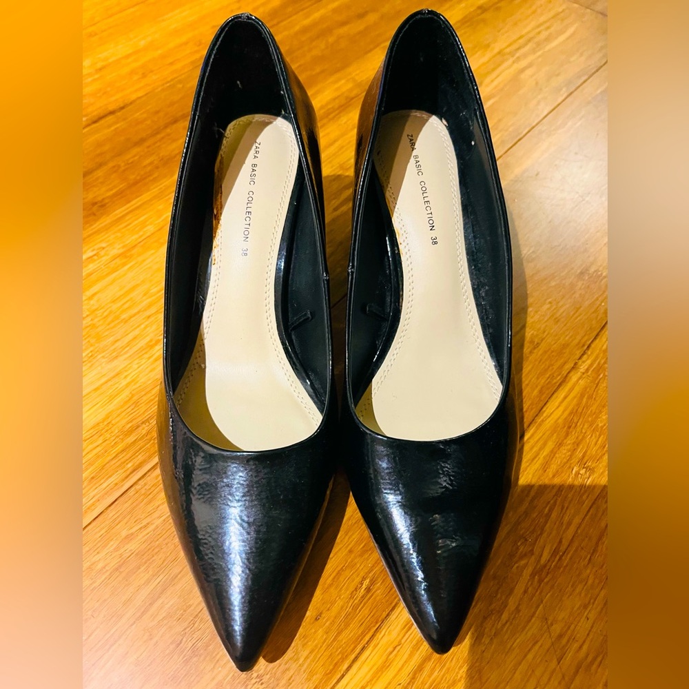 Zara block heel pumps!  Great for business during the day and a night out!